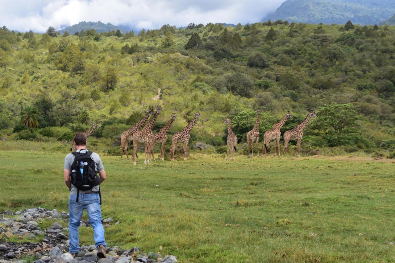 The Charity International 3* Arusha